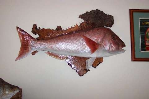 Photo: Frank Gray Fish Taxidermy